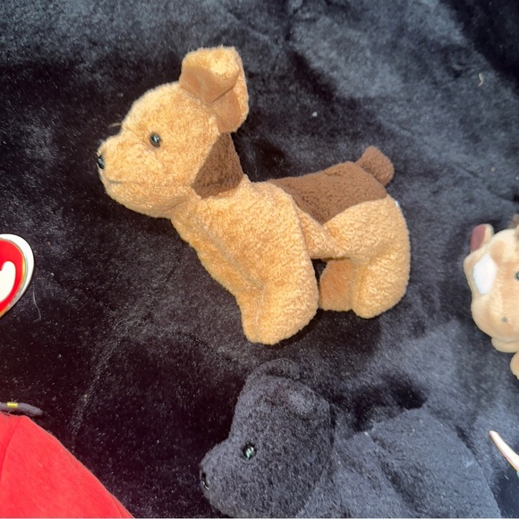 Beanie Babies Plush Toy Collection 19 Total - Picture 15 of 16